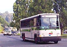 Golden Gate Transit bus on Miller Avenue
