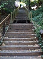 the Dipsea Steps